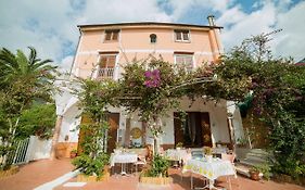 B&B Bouganville